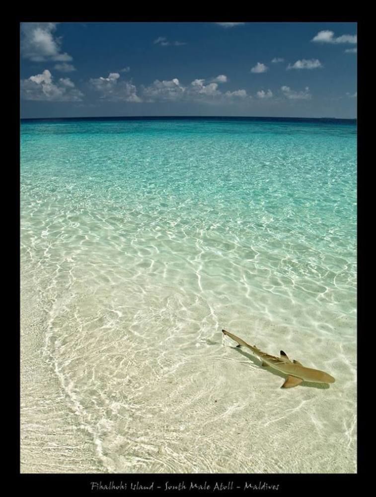 Crystal Beach Inn Male Luaran gambar